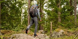 A hiker on a rocky trail - by Hendrik Morkel