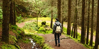 Man hiking in between trees - by Tamara Garcevic